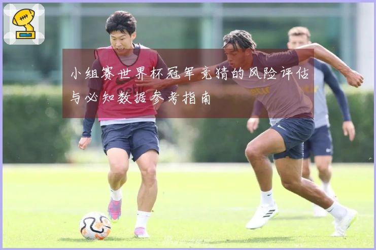 小组赛世界杯冠军竞猜的风险评估与必知数据参考指南