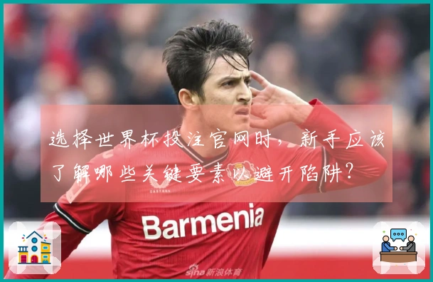 选择世界杯投注官网时，新手应该了解哪些关键要素以避开陷阱？