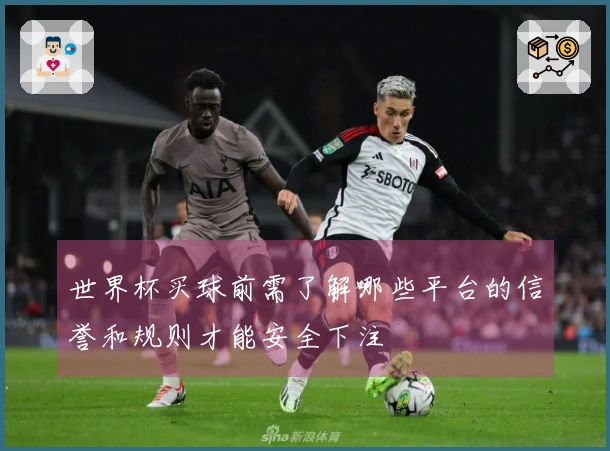 世界杯买球前需了解哪些平台的信誉和规则才能安全下注