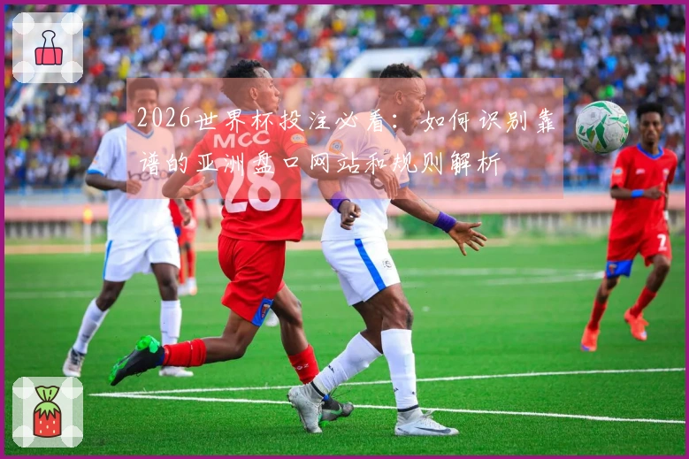 2026世界杯投注必看：如何识别靠谱的亚洲盘口网站和规则解析