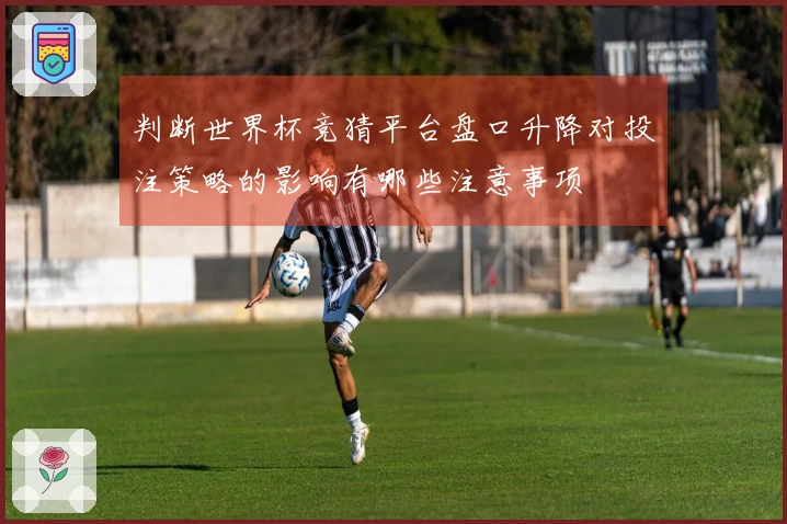 判断世界杯竞猜平台盘口升降对投注策略的影响有哪些注意事项