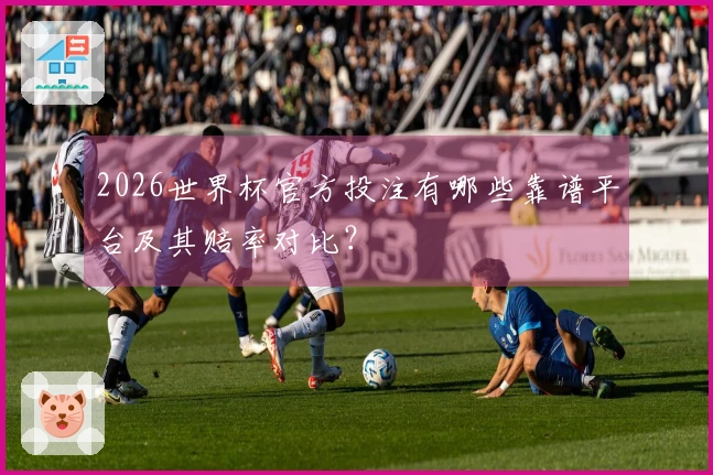 2026世界杯官方投注有哪些靠谱平台及其赔率对比？