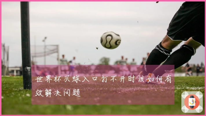 世界杯买球入口打不开时该如何有效解决问题