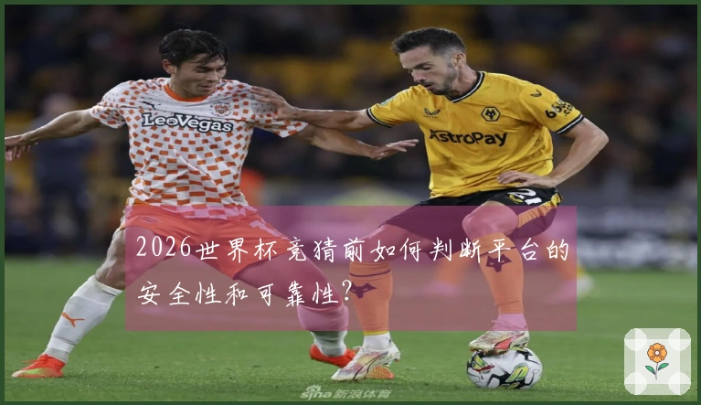 2026世界杯竞猜前如何判断平台的安全性和可靠性？