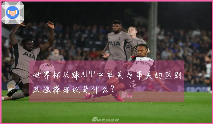 世界杯买球APP中单关与串关的区别及选择建议是什么？