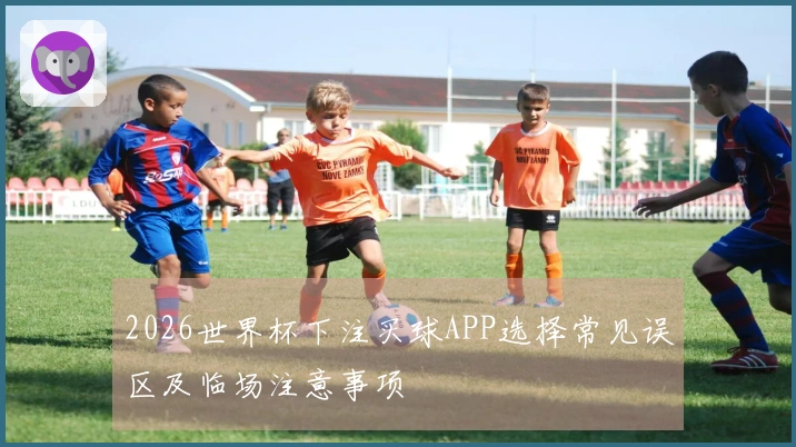 2026世界杯下注买球APP选择常见误区及临场注意事项