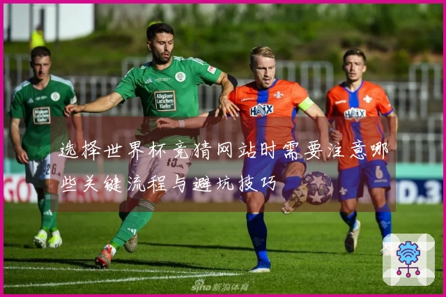 选择世界杯竞猜网站时需要注意哪些关键流程与避坑技巧