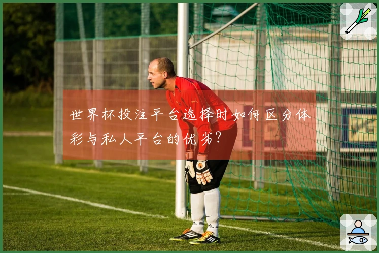世界杯投注平台选择时如何区分体彩与私人平台的优劣？