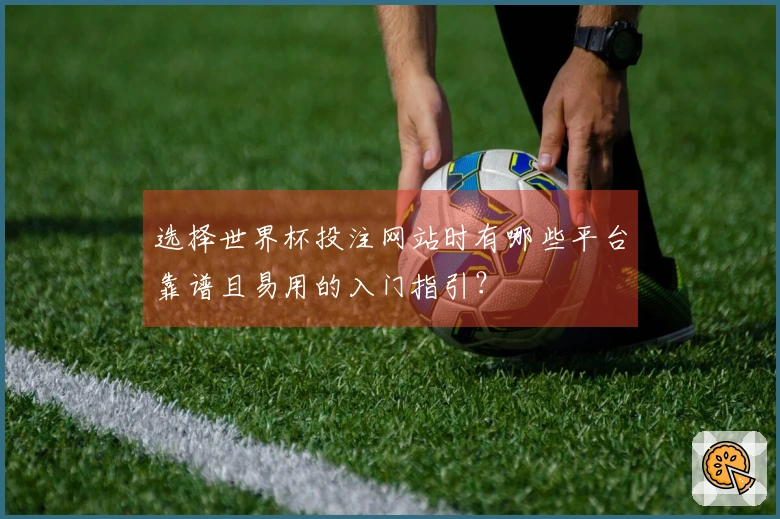 选择世界杯投注网站时有哪些平台靠谱且易用的入门指引？