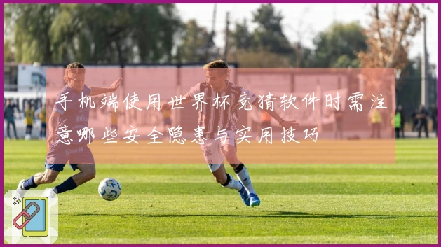 手机端使用世界杯竞猜软件时需注意哪些安全隐患与实用技巧