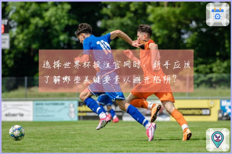 选择世界杯投注官网时，新手应该了解哪些关键要素以避开陷阱？