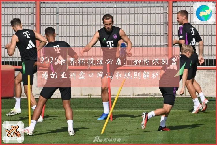 2026世界杯投注必看：如何识别靠谱的亚洲盘口网站和规则解析