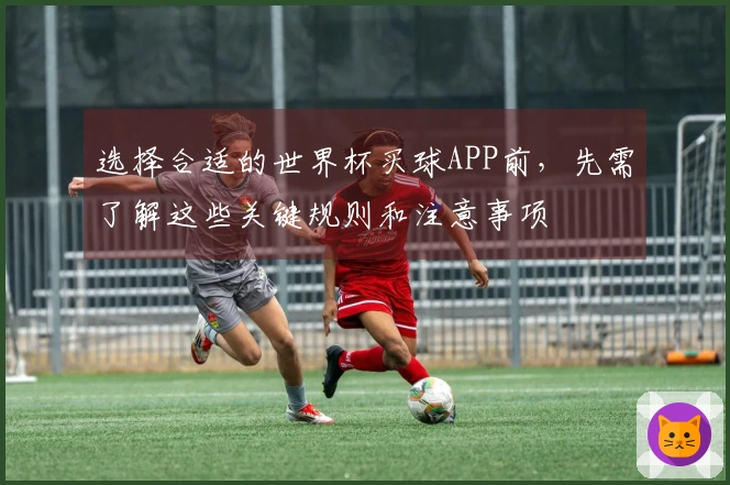 选择合适的世界杯买球APP前，先需了解这些关键规则和注意事项