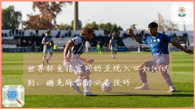 世界杯竞猜官网的正规入口如何识别，避免踩雷的必备技巧