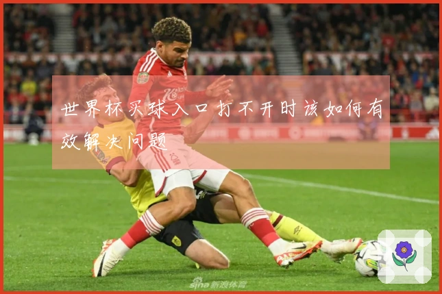 世界杯买球入口打不开时该如何有效解决问题