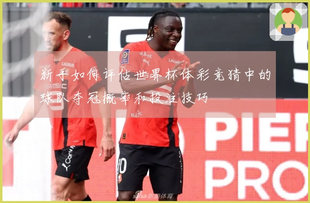 新手如何评估世界杯体彩竞猜中的球队夺冠概率和投注技巧