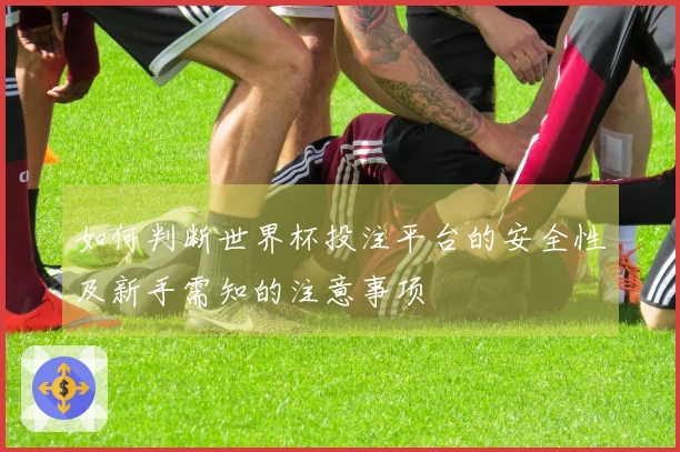 如何判断世界杯投注平台的安全性及新手需知的注意事项