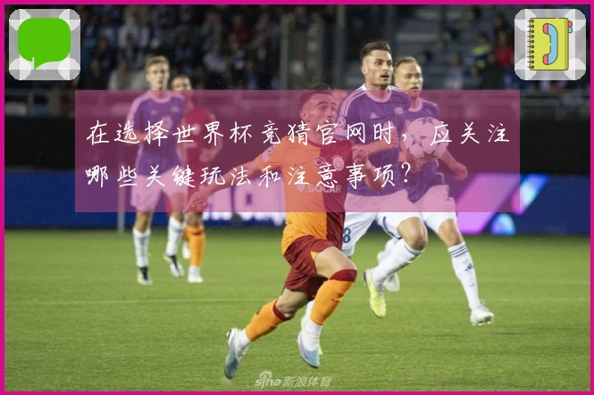 在选择世界杯竞猜官网时，应关注哪些关键玩法和注意事项？