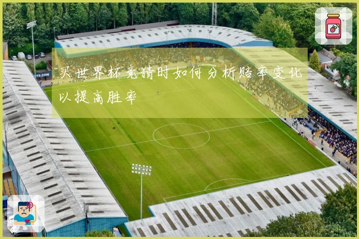 买世界杯竞猜时如何分析赔率变化以提高胜率