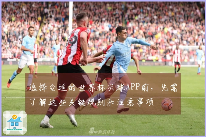 选择合适的世界杯买球APP前，先需了解这些关键规则和注意事项