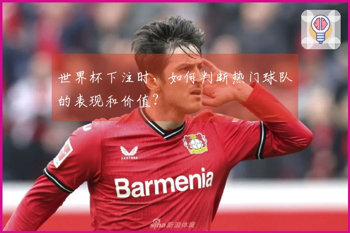 世界杯下注时，如何判断热门球队的表现和价值？