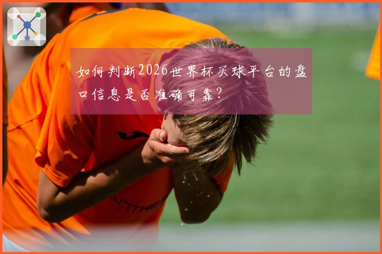 如何判断2026世界杯买球平台的盘口信息是否准确可靠？