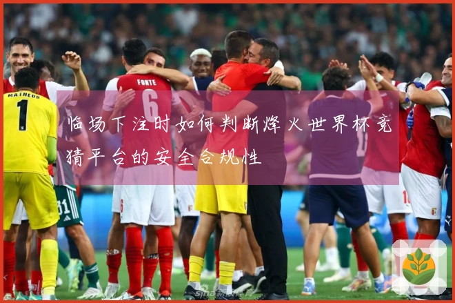 临场下注时如何判断烽火世界杯竞猜平台的安全合规性