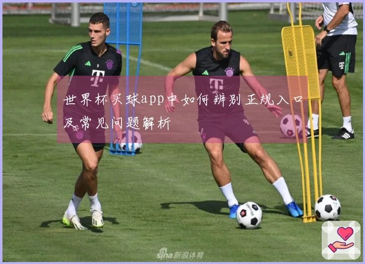 世界杯买球app中如何辨别正规入口及常见问题解析