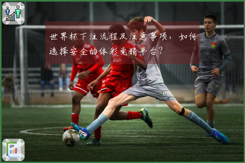 世界杯下注流程及注意事项，如何选择安全的体彩竞猜平台？