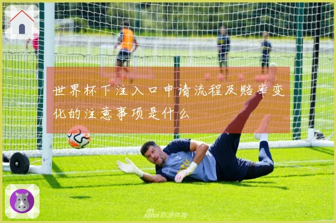 世界杯下注入口申请流程及赔率变化的注意事项是什么