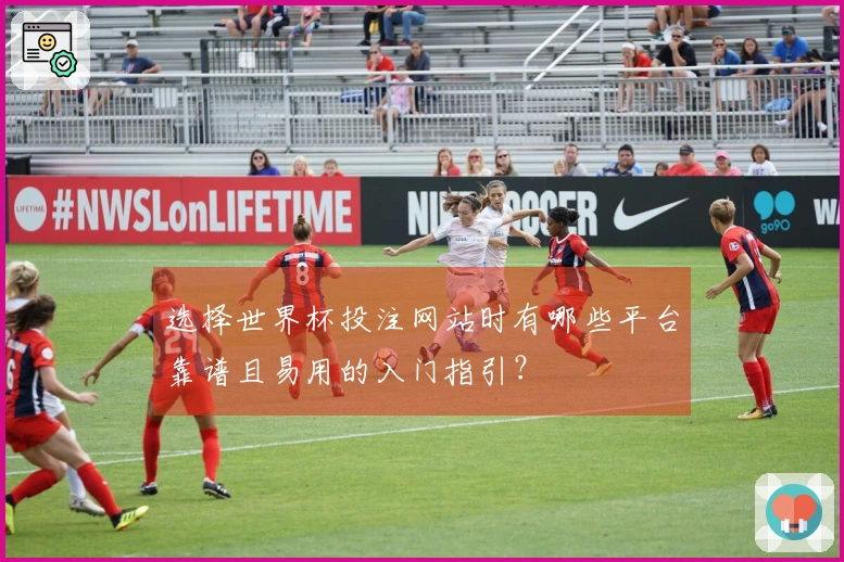 选择世界杯投注网站时有哪些平台靠谱且易用的入门指引？