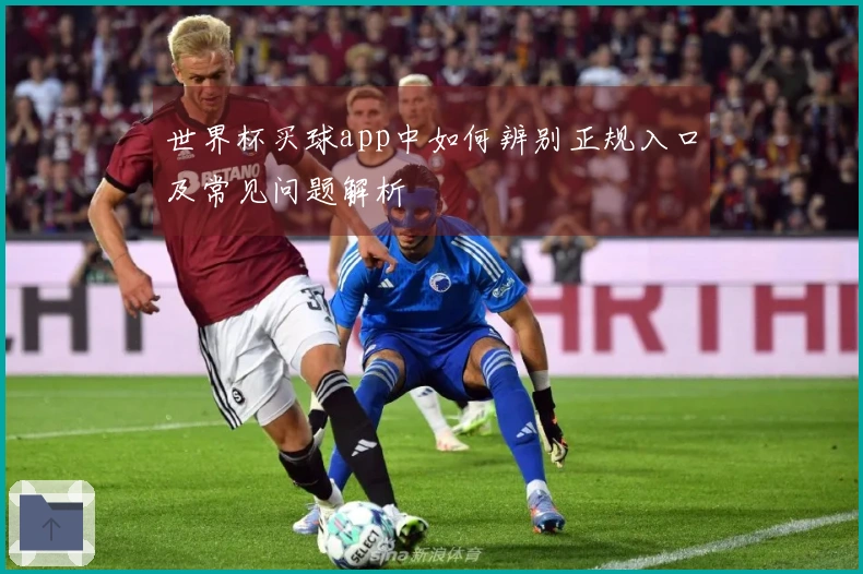 世界杯买球app中如何辨别正规入口及常见问题解析