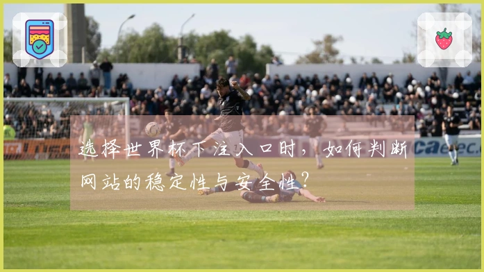 选择世界杯下注入口时，如何判断网站的稳定性与安全性？