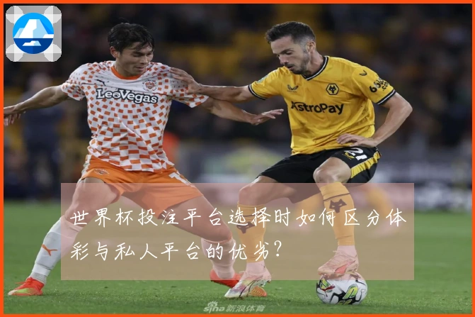 世界杯投注平台选择时如何区分体彩与私人平台的优劣？